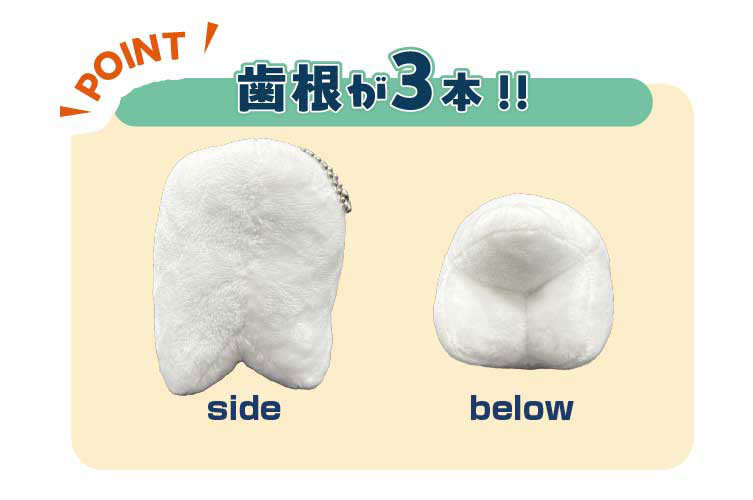 ぬいぐるみﾏｽｺｯﾄ molarちゃん